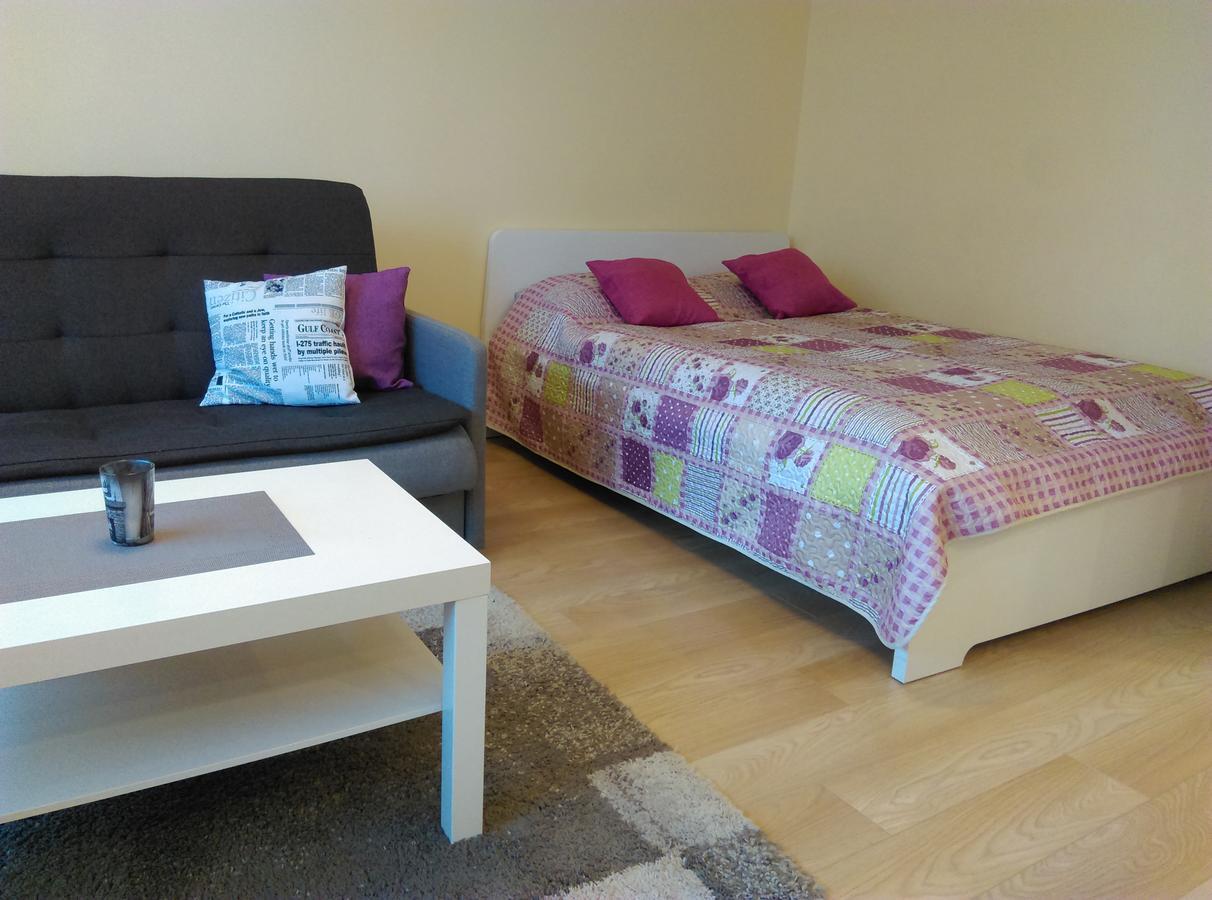 Gina'S Apartment Partizanu G Kaunas Bagian luar foto