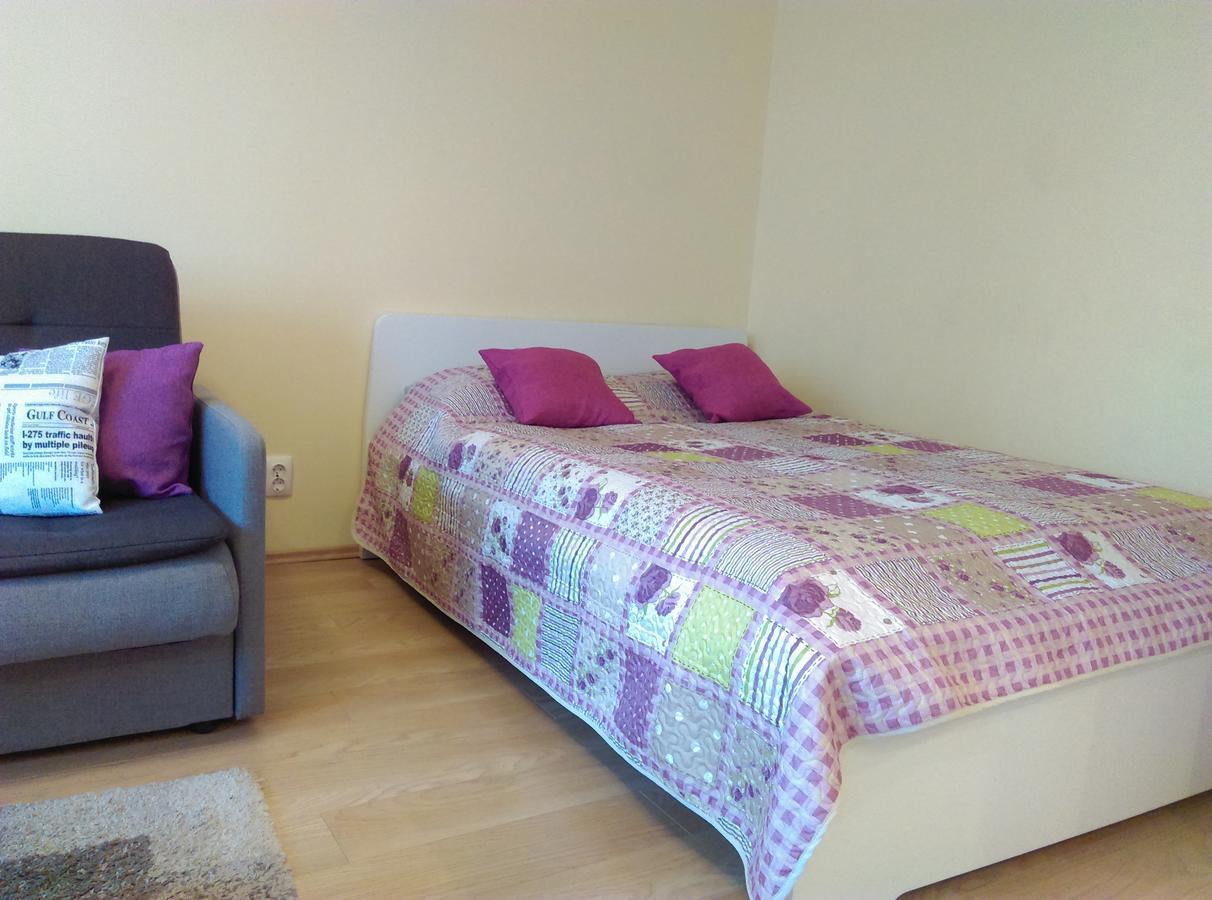 Gina'S Apartment Partizanu G Kaunas Bagian luar foto